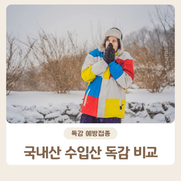 독감 예방접종