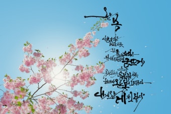 동양매직 가스렌지 서비스센터 예약 바로가기