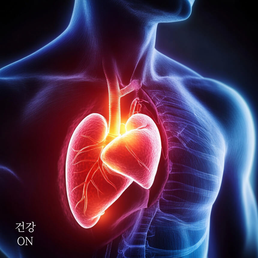 심혈관계 임상검사 의학용어