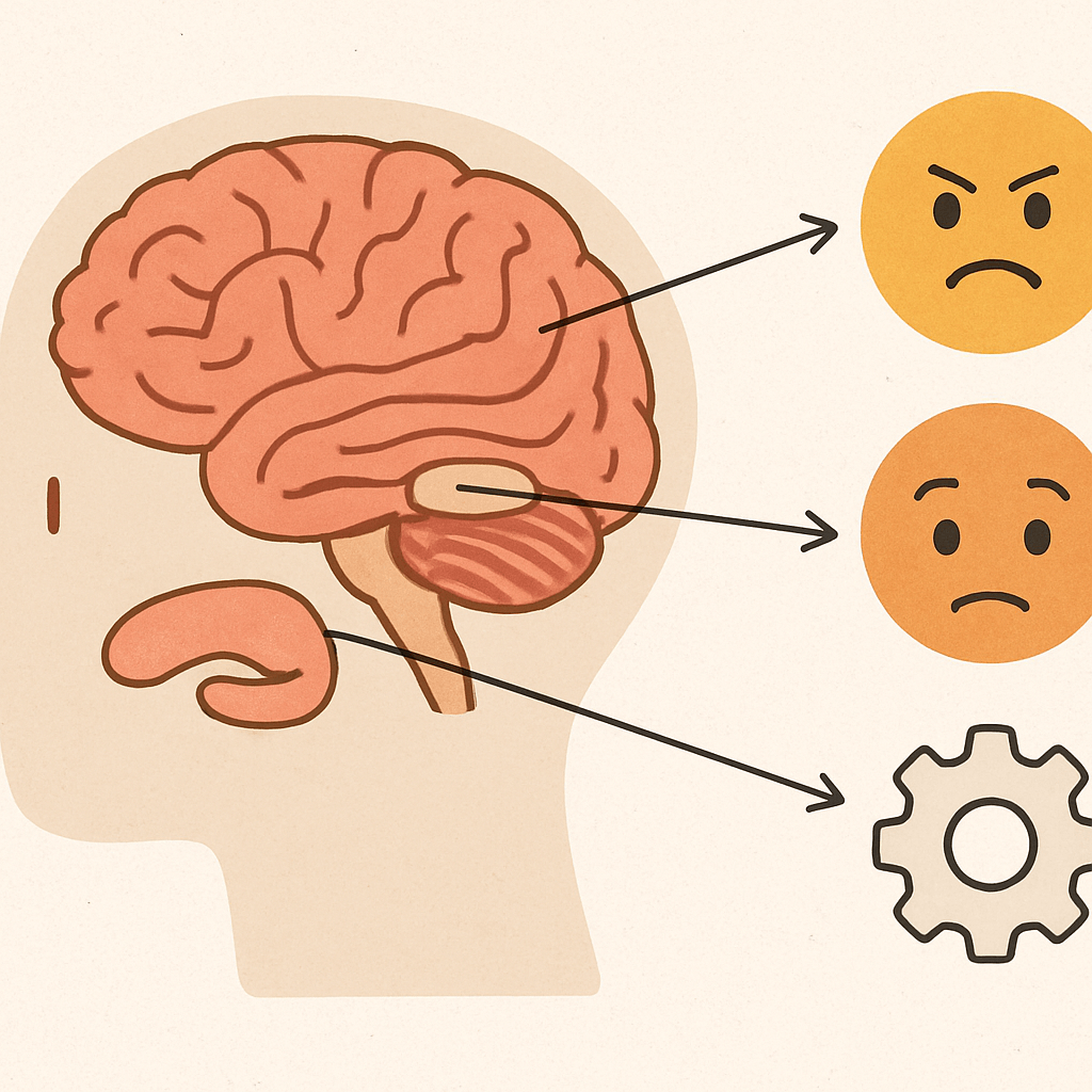 뇌와 감정표현들