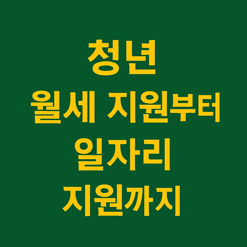 청년지원