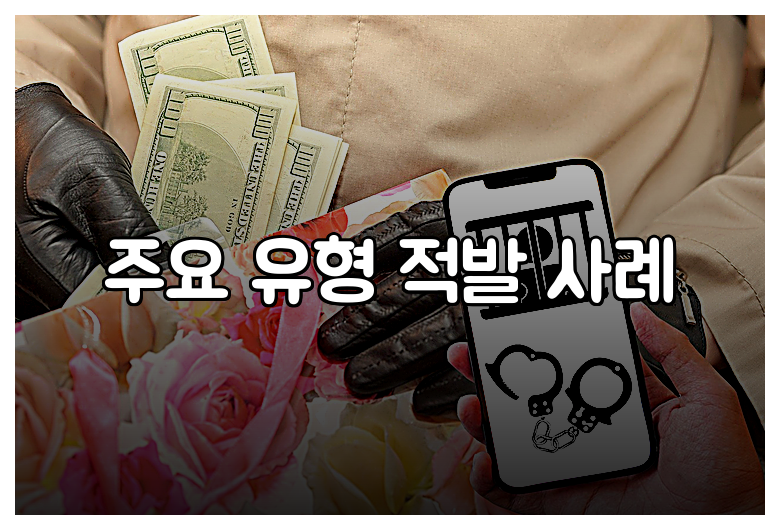 주요 유형 적발 사례