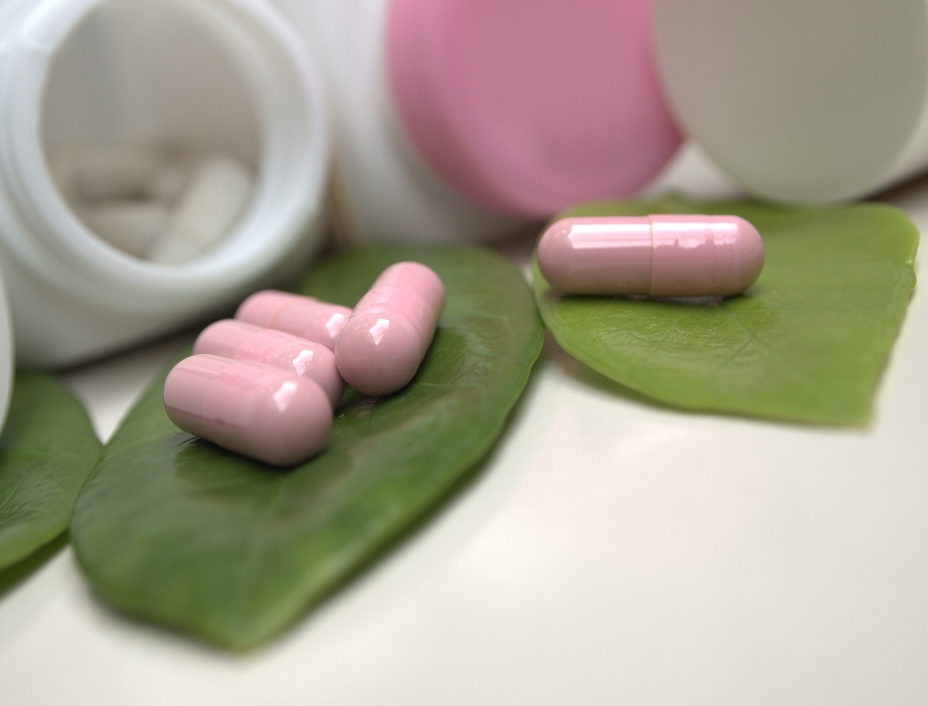 치매 보조제 콜린