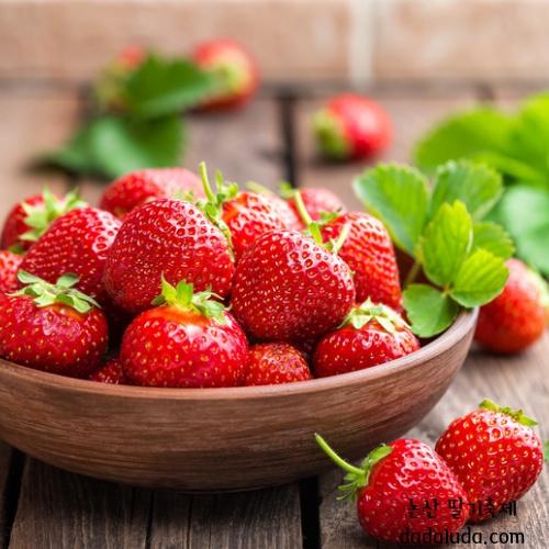 논산 딸기축제 일정 초대가수