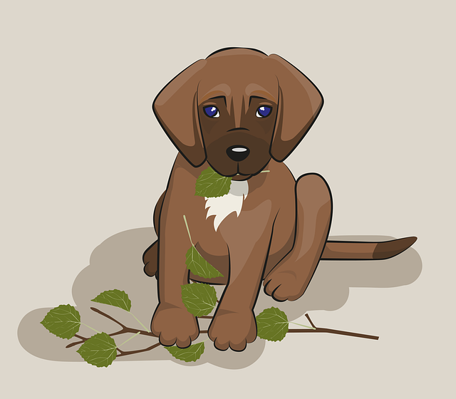 한예슬 반려견 사고 CCTV 논란과 호텔링 안전 이슈 상세 리뷰