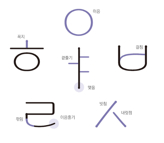 태백은하수체의 특징 1
