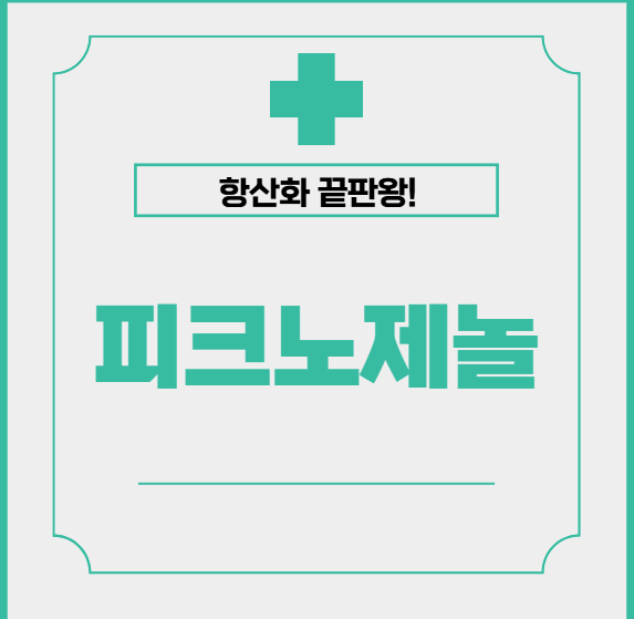 피크노제놀, 무엇인가요? 항산화 끝판왕의 효과 총정리