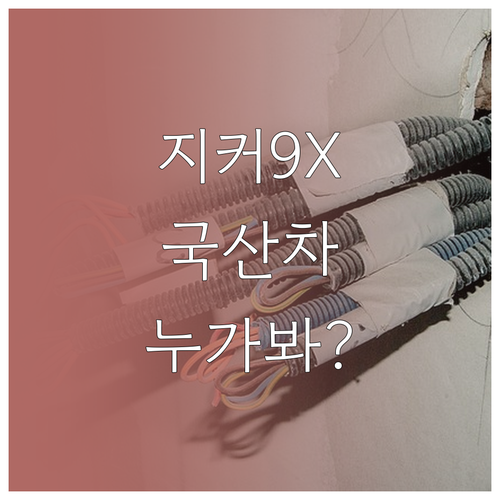 지커 9X vs 국내 프리미엄 전기차..