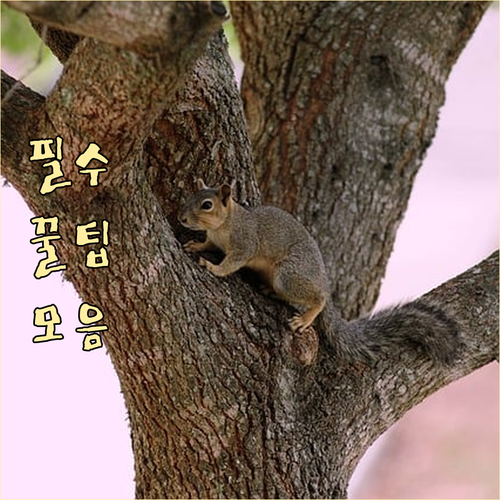 갈매동 주민 필독 일반 재활용 대형 ..