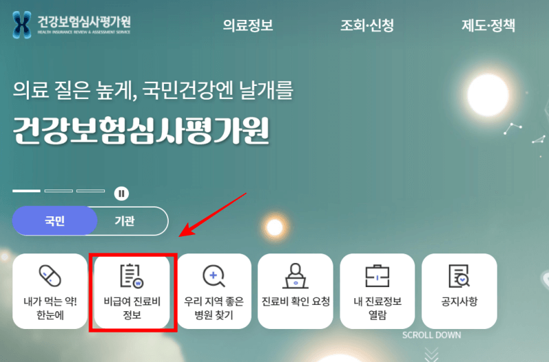 뇌-MRI-비용-확인하는-방법1