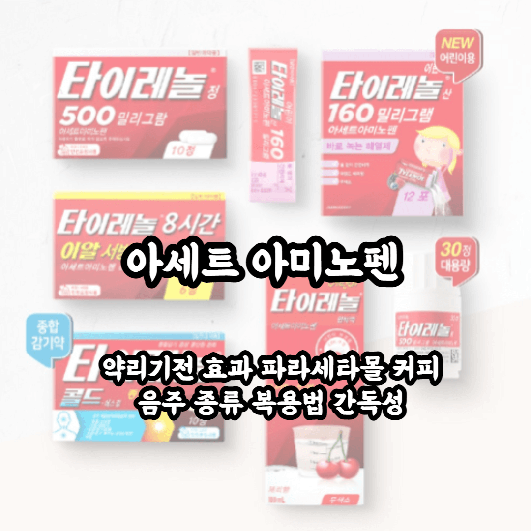 아세트 아미노펜 원리 효과 복용법 종류 커피 음주 간독성까지 총정리