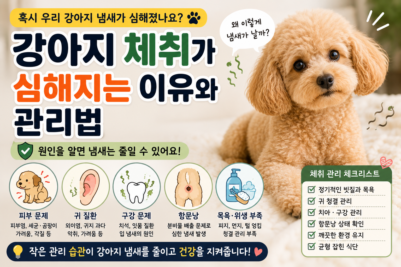 강아지 체취가 심해지는 이유와 관리법｜냄새의 원인부터 올바른 해결 방법까지