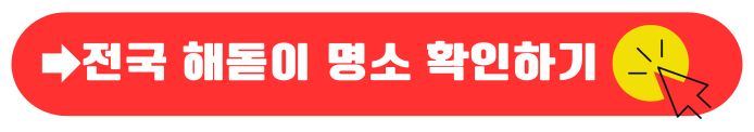 해돋이 명소
