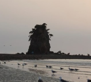 태안 추천 관광지 베스트10 관련 사진