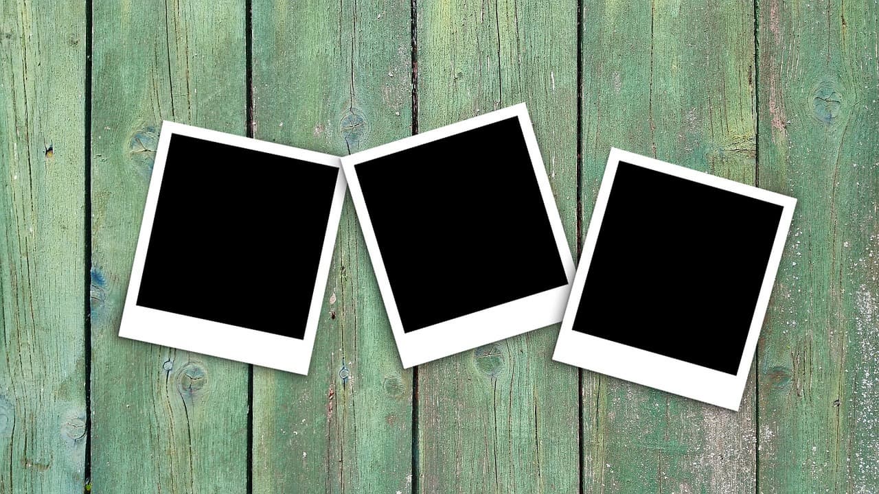 포토데이 폴라로이드, 하루를 평생 기억하는 가장 감성적인 방법