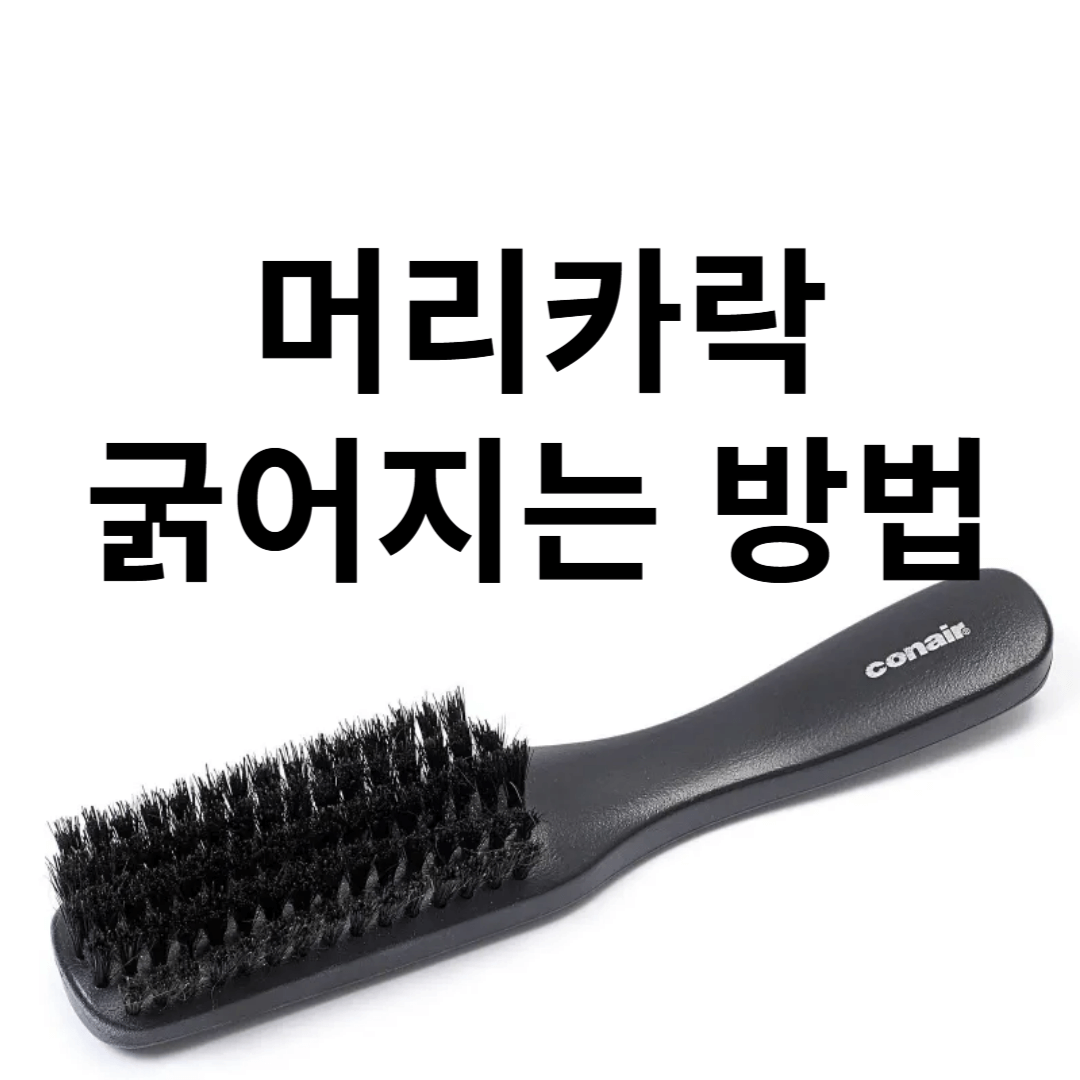 머리카락 굵어지는 법