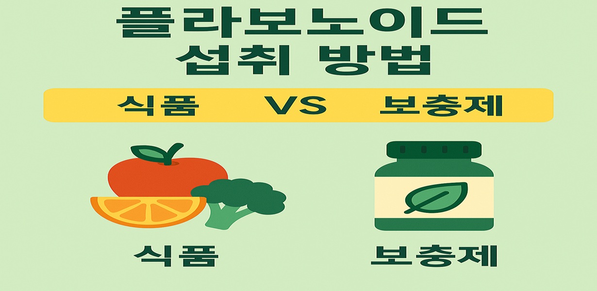 플라보노이드 섭취 방법으로 식품과 보충제를 비교한 인포그래픽