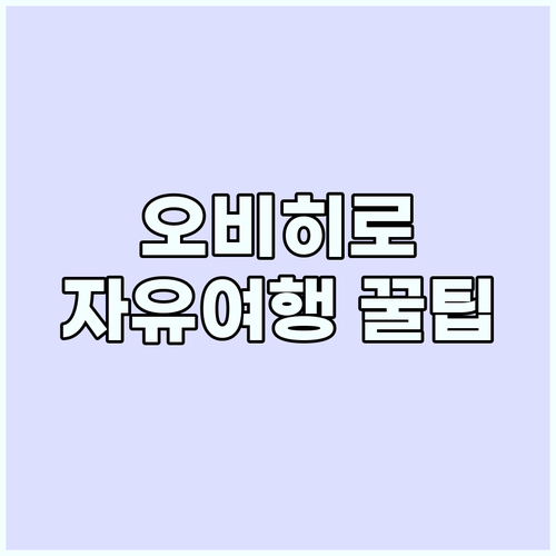 오비히로 렌터카: 자유여행 필수, 놓..