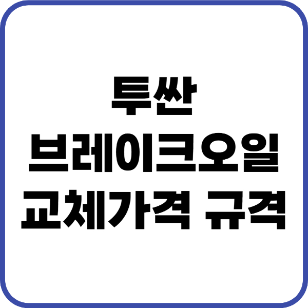 투싼 브레이크오일