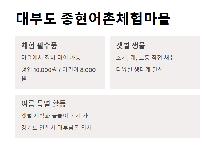 경기도 갯벌 체험지 BEST 5