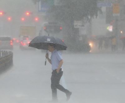 3호 태풍 개미 경로 예보 4호 태풍 프라피눈 정보