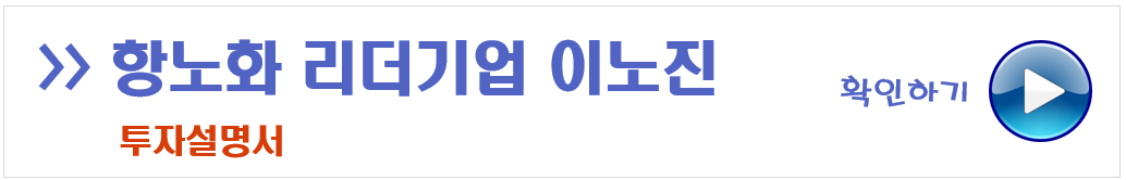 이노진 투자설명서
