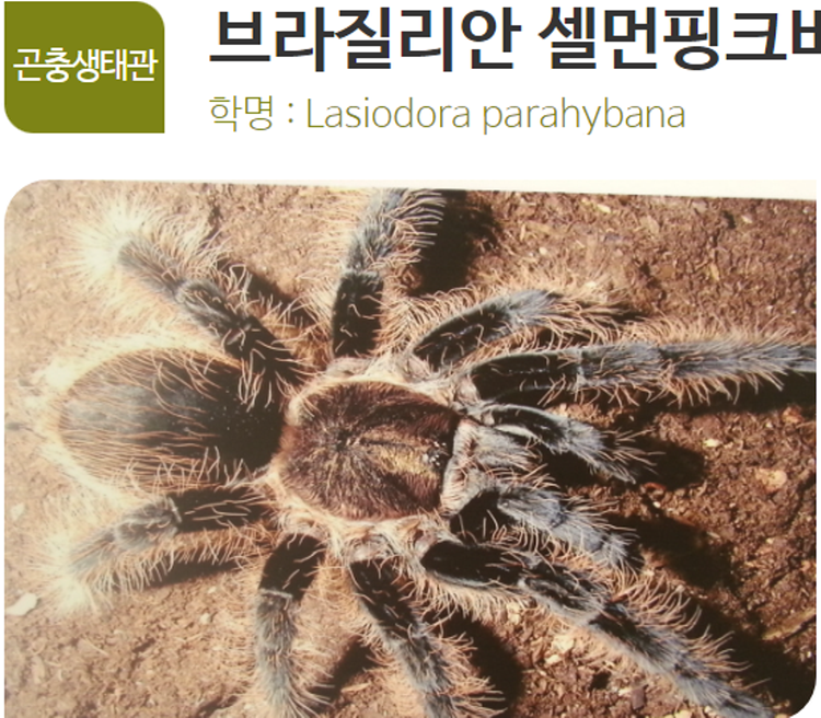 아산 생태곤충원