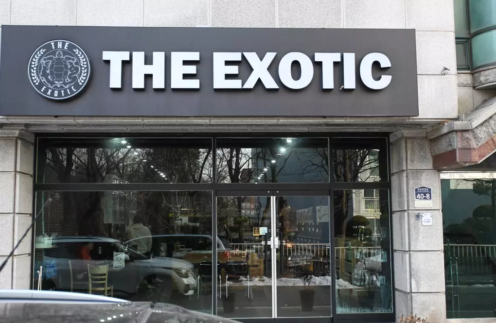 수원 도마뱀 분양 & 먹이 구입 할 수 있는 더엑소틱 파충류샵 사진 1