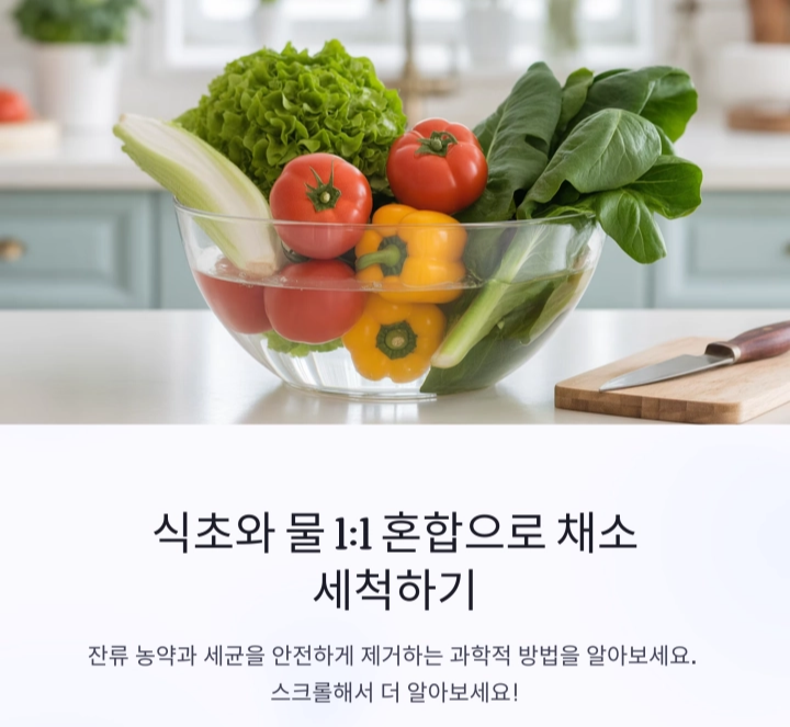 식초와 물 1:1 혼합으로 채소를 세척하는 과학적 이유와 올바른 방법