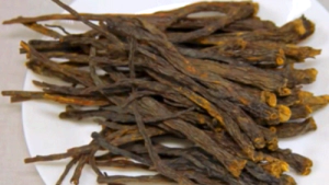 흑도라지 효능 부작용 구입요령