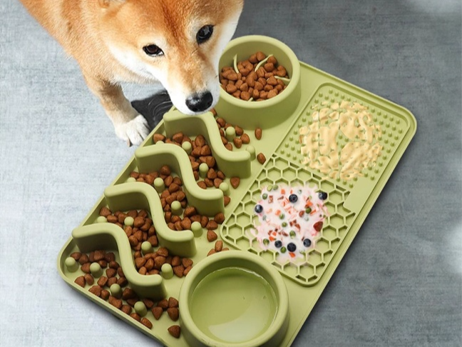 강아지 사망률 4위 위염,췌장염(자가진단 체크리스트,예방법,사료와 위염 ,상관관계,슬로우 피더 활용 약대용 위염예방법)