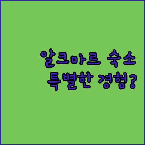 알크마르 숙소 추천! 킹스 인 시티 ..