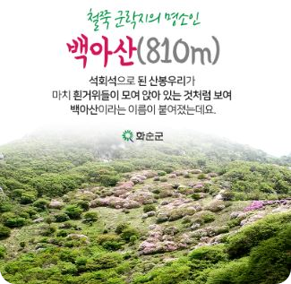 전남 5월 축제 일정 일정표