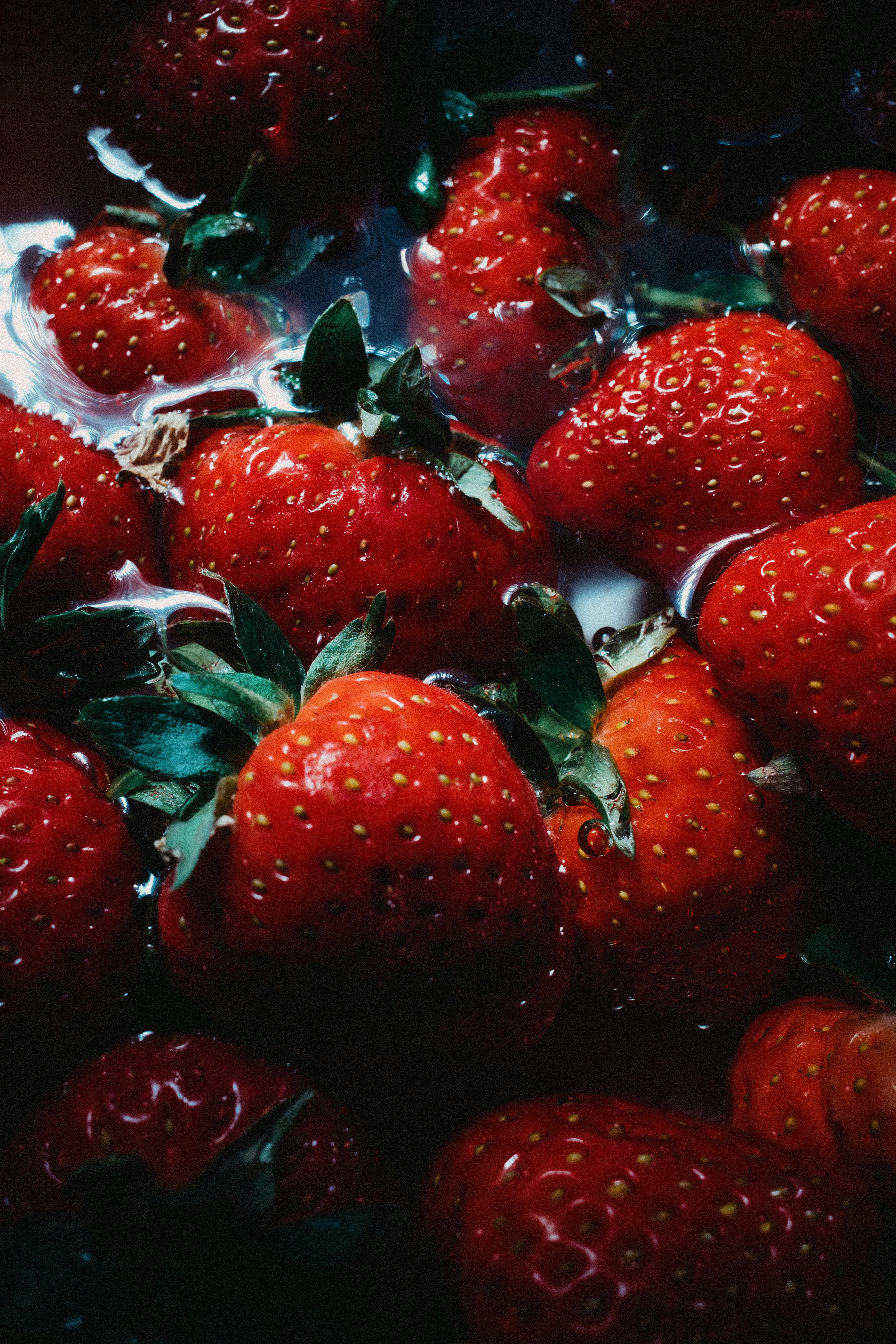 식물성 에스트로겐 식품