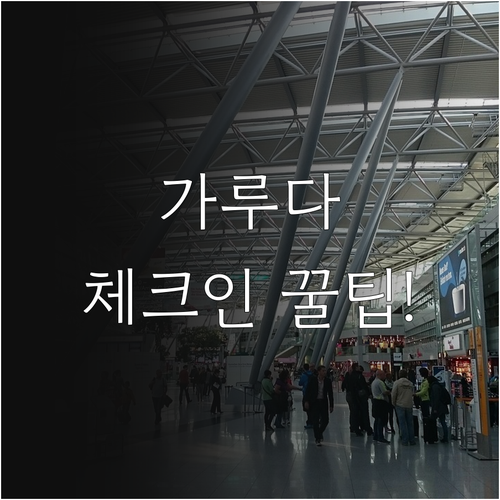 가루다 인도네시아 FlyGaruda ..