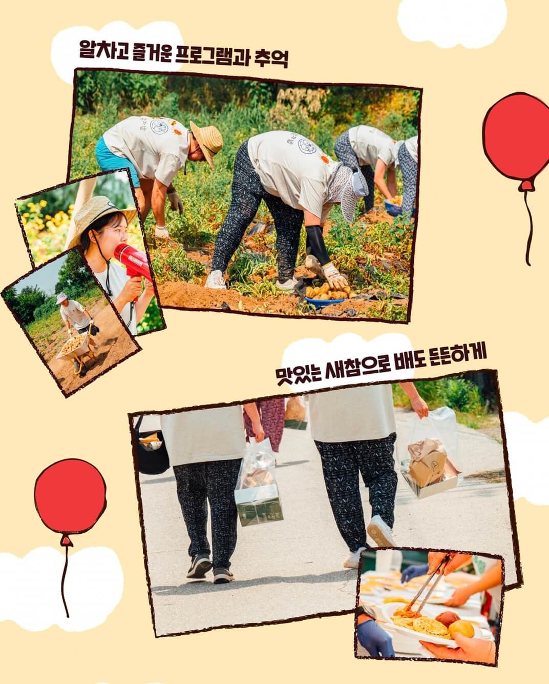 춘천 감자 축제