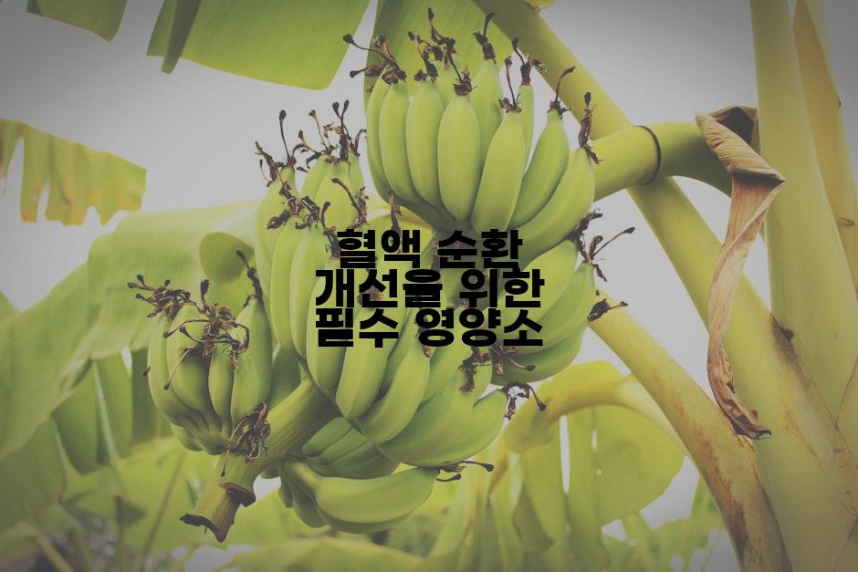 혈액 순환 개선을 위한 필수 영양소