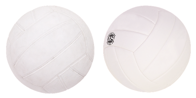 배구공 두 개
