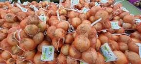 농할상품권 사용처 구매방법 할인 2024