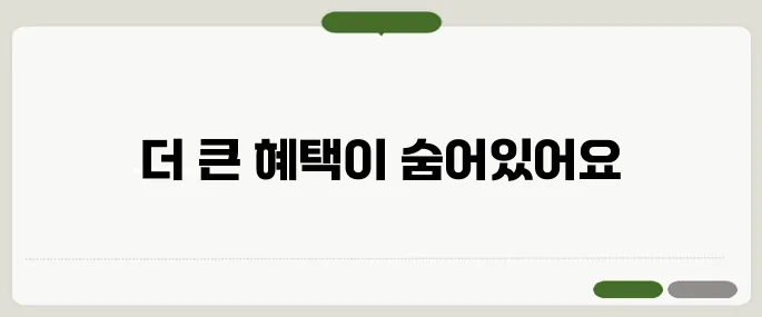 현대백화점 카드 정보 놓치면 후회해요