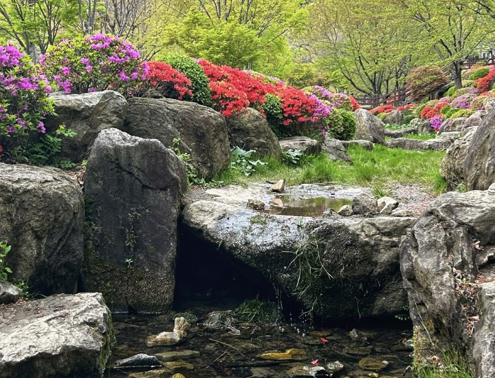 용인자연휴양림예약하기