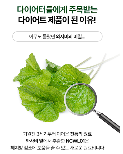 소우코우 이소비텍신 다이어트 후기