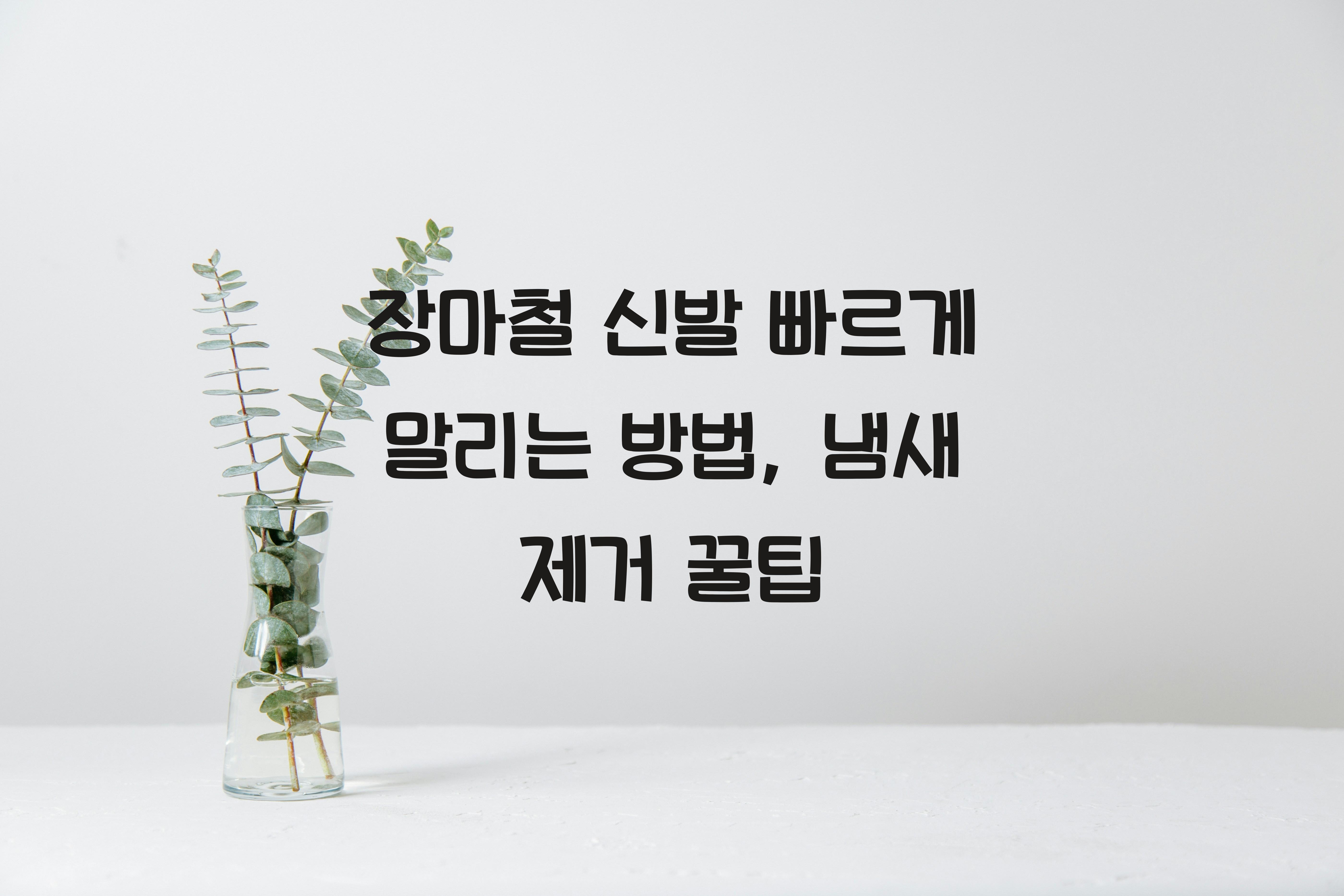 장마철 신발 빠르게 말리는 방법