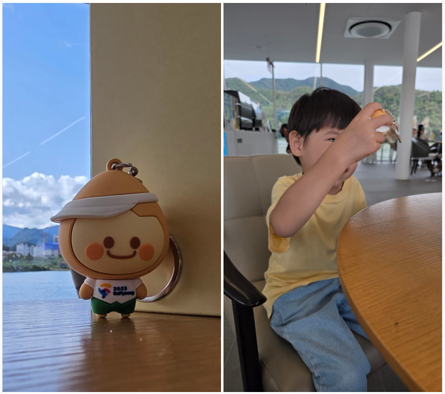 자라섬 (2025 꽃 페스타)