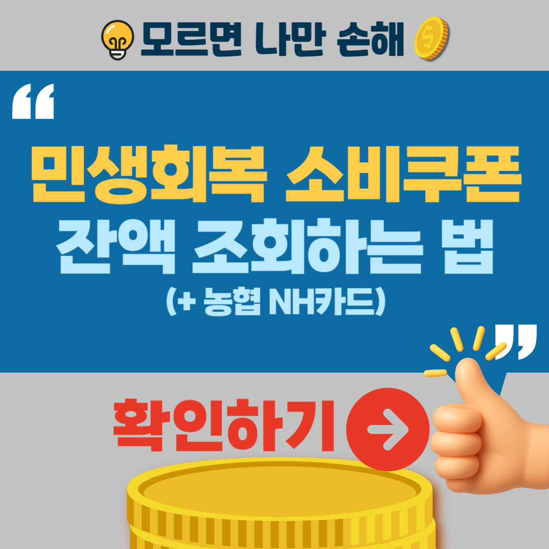 민생회복 소비쿠폰 잔액조회 확인 NH카드 KB카드 네이버페이 카카오페이 토스