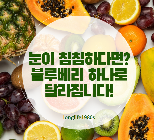 노화 방지에 좋다던 블루베리, 진짜 효과 있을까?