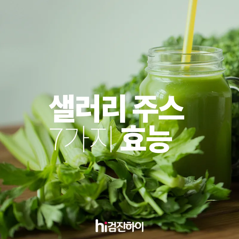 샐러리 효능 알고 먹는법 잎 생으로 손질법 요리_4