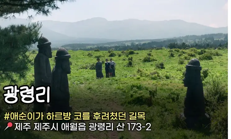 폭싹 속았수다 제주도 촬영지 2박 3일 여행코스 (2)