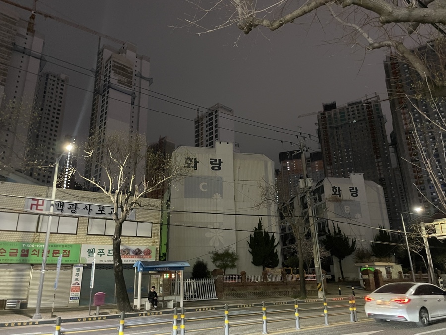 레이카운티임장