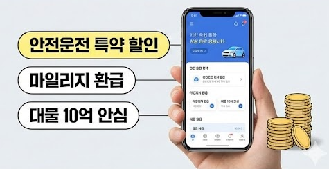 자동차 보험료 비교